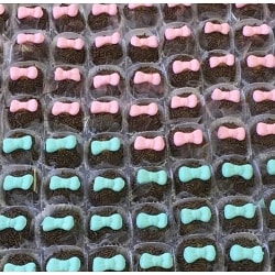 Lacinhos